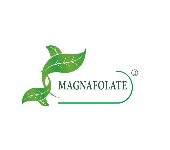 Magnafolate® là gì? Folate VS Axit Folic, Sự khác biệt là gì?