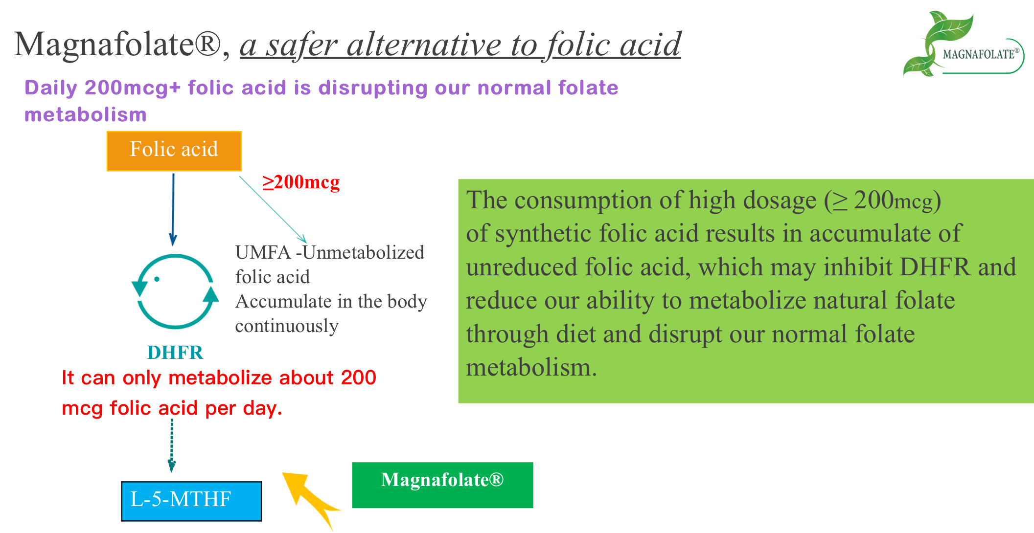 Magnafolate, một giải pháp thay thế an toàn hơn cho axit folic