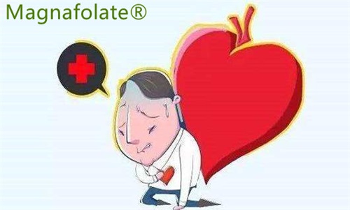 L-5-Methylfolate:Có thể làm giảm nguy cơ đột quỵ và đau tim