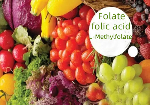 Folate (axit folic) và L-Methylfolate