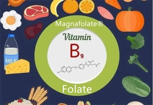 Folate và axit folic là gì?