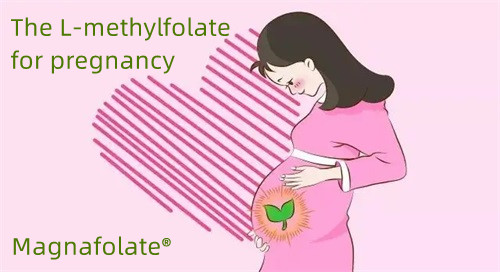 Folate và L Methylfolate ở người mang thai