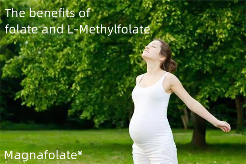 Lợi ích của folate và L-Methylfolate