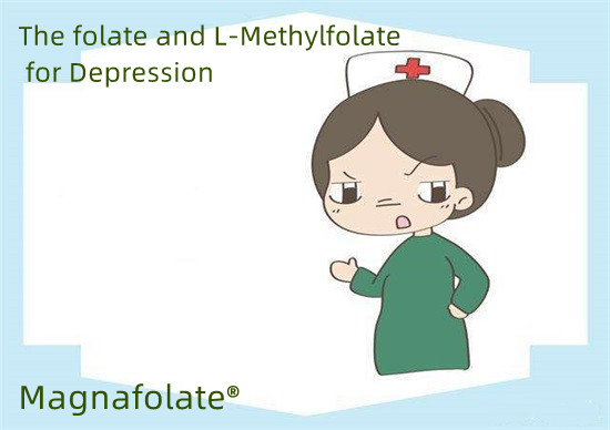 Axit folic và L-Methylfolate cho bệnh trầm cảm