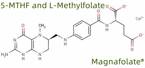 5-MTHF và L-Methylfolate