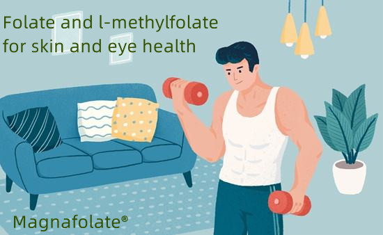 Folate và l-methylfolate tốt cho sức khỏe của da và mắt