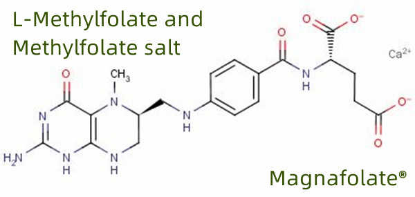 Nhà sản xuất và cung cấp toàn cầu L Methylfolate