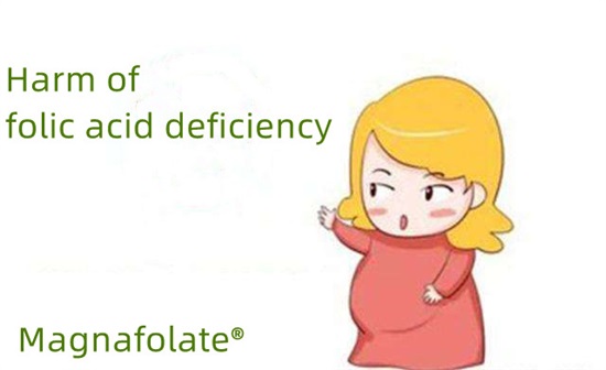 Tác hại của việc thiếu axit folic