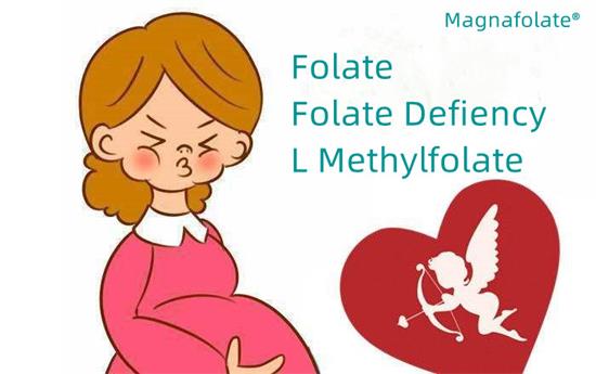 Thiếu folate và thiếu folate