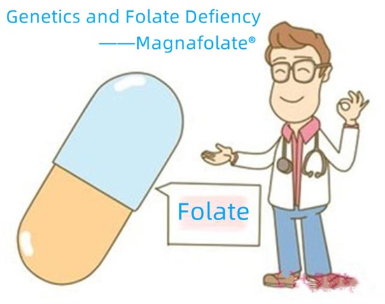 Di truyền và tình trạng thiếu folate-Magnafolate