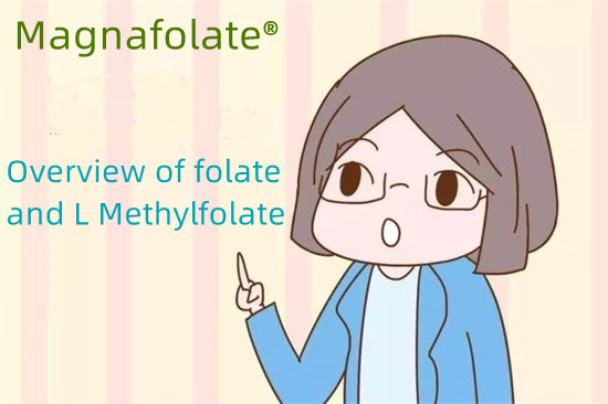 Tổng quan về folate và L Methylfolate