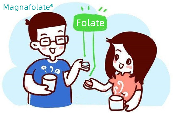 Tôi cần bao nhiêu folate?