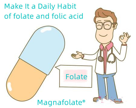 Axit Folic và Folate: Biến nó thành thói quen hàng ngày