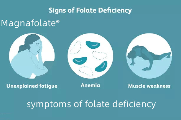 Thiếu folate có thể gây ra những triệu chứng gì?