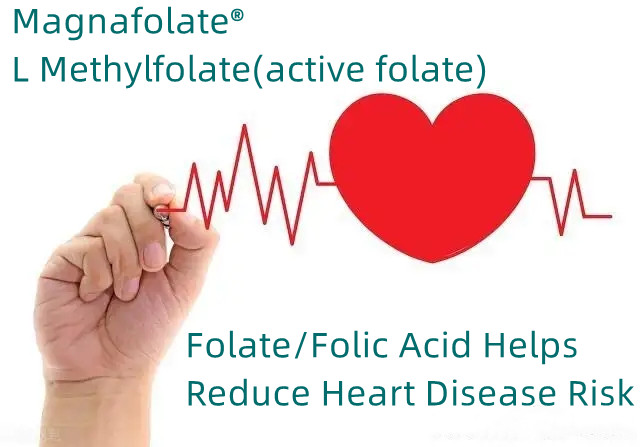 Folate/Axit Folic giúp giảm nguy cơ mắc bệnh tim