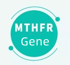 Điều đó có nghĩa là gì nếu bạn có gen MTHFR?