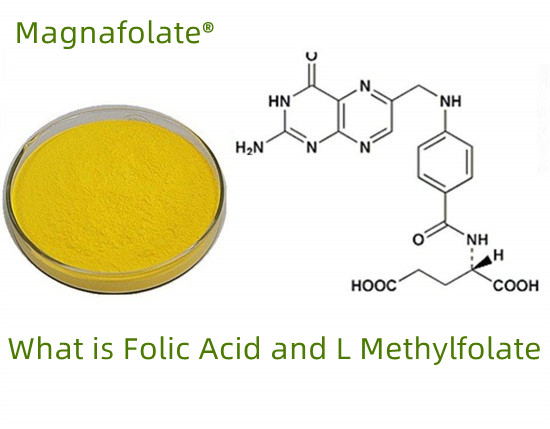 Folate VS axit folic VS L-methylfolate là gì