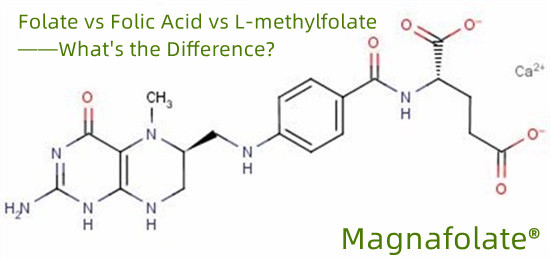 Folate vs Axit Folic vs L-methylfolate--Sự khác biệt là gì