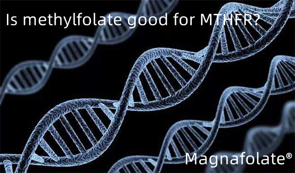 Methylfolate có tốt cho MTHFR không?