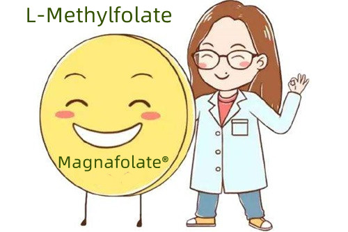 Tại sao methylfolate tốt hơn axit folic?