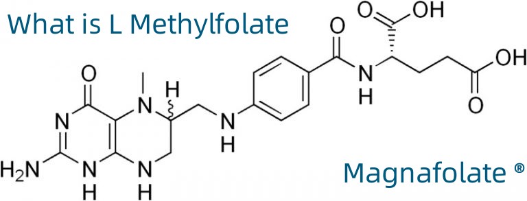 L Methylfolate là gì?