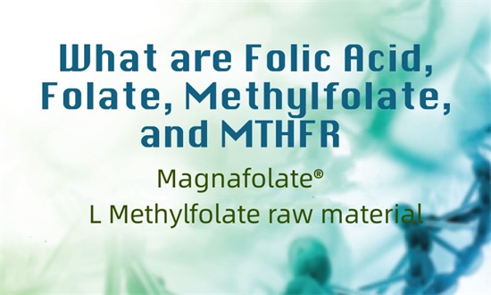 Axit folic, folate, methylfolate và MTHFR là gì?