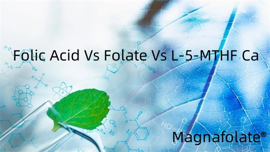 Axit Folic Vs Folate Vs L-5-MTHF Ca