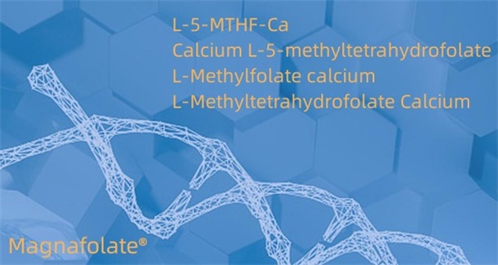 Canxi L-5-methyltetrahydrofolate Cas151533-22-1