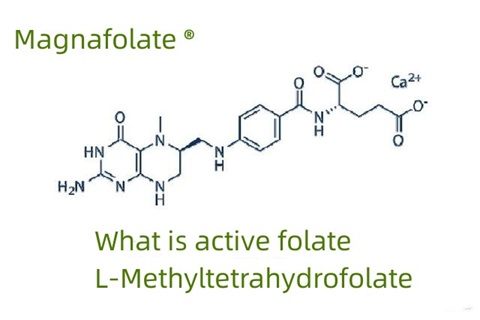 Folate hoạt tính và L-Methyltetrahydrofolate là gì