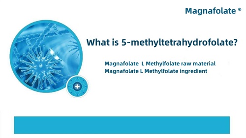 5-methyltetrahydrofolate là gì?