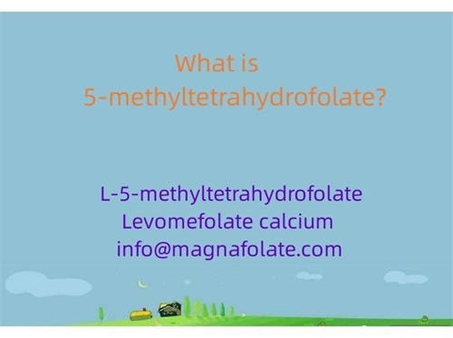 5-methyltetrahydrofolate là gì?