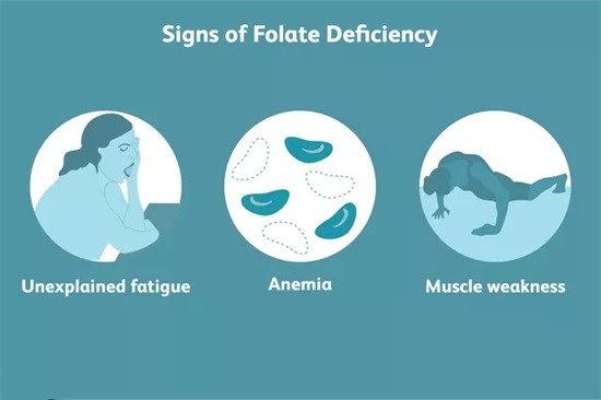 Folate là gì và tác dụng của nó là gì?