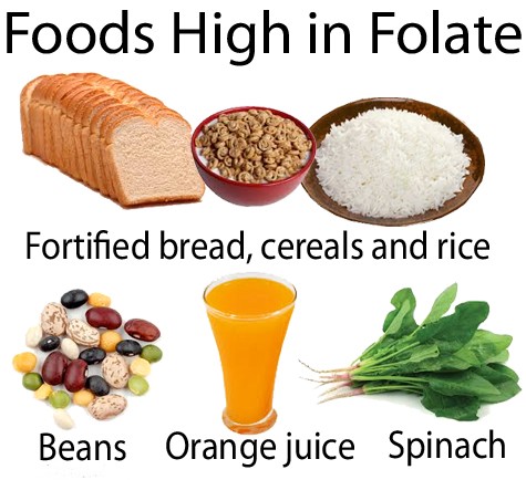 Phân loại Folate - Folate trong chế độ ăn uống