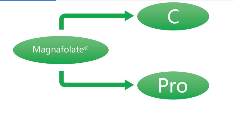 Magnafolate C và Pro—L-Methylfolate Canxi