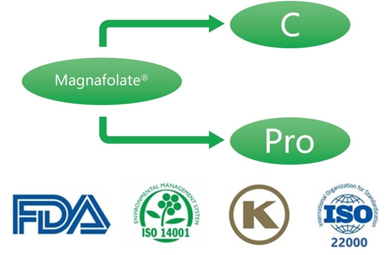 Canxi L-5-methyltetrahydrofolate là gì? Các nhà cung cấp là gì?