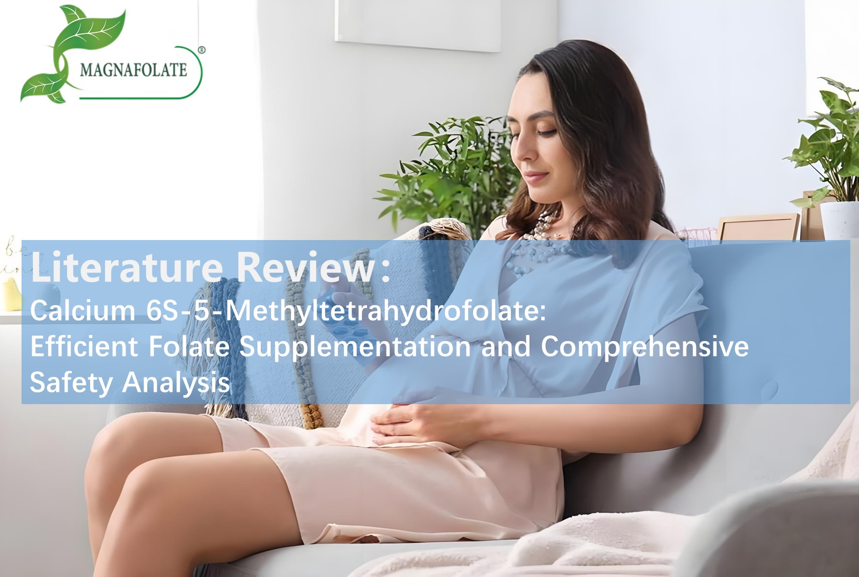 Đánh giá tài liệu: Canxi 6S-5-Methyltetrahydrofolate: Bổ sung folate hiệu quả và phân tích an toàn toàn diện