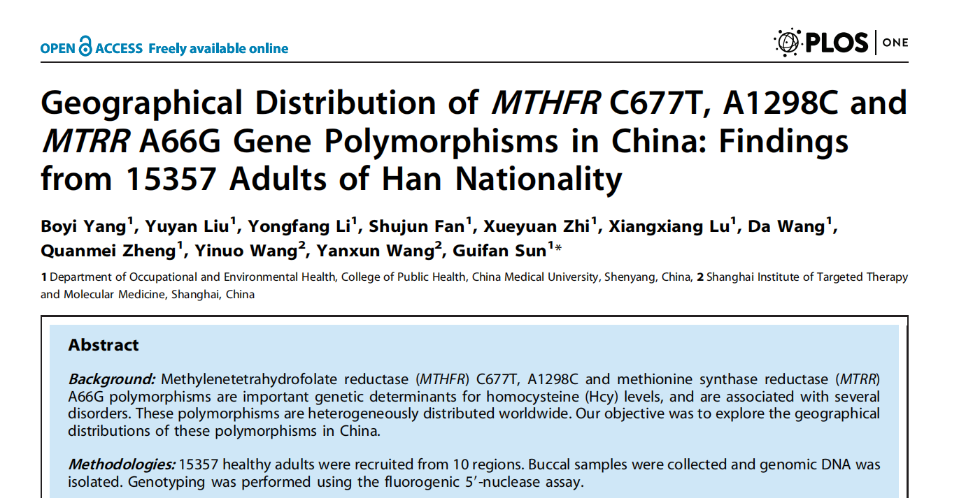 Uống folate 6 tháng nhưng homocysteine ​​vẫn không giảm? Nút thắt có thể ở ngay đây